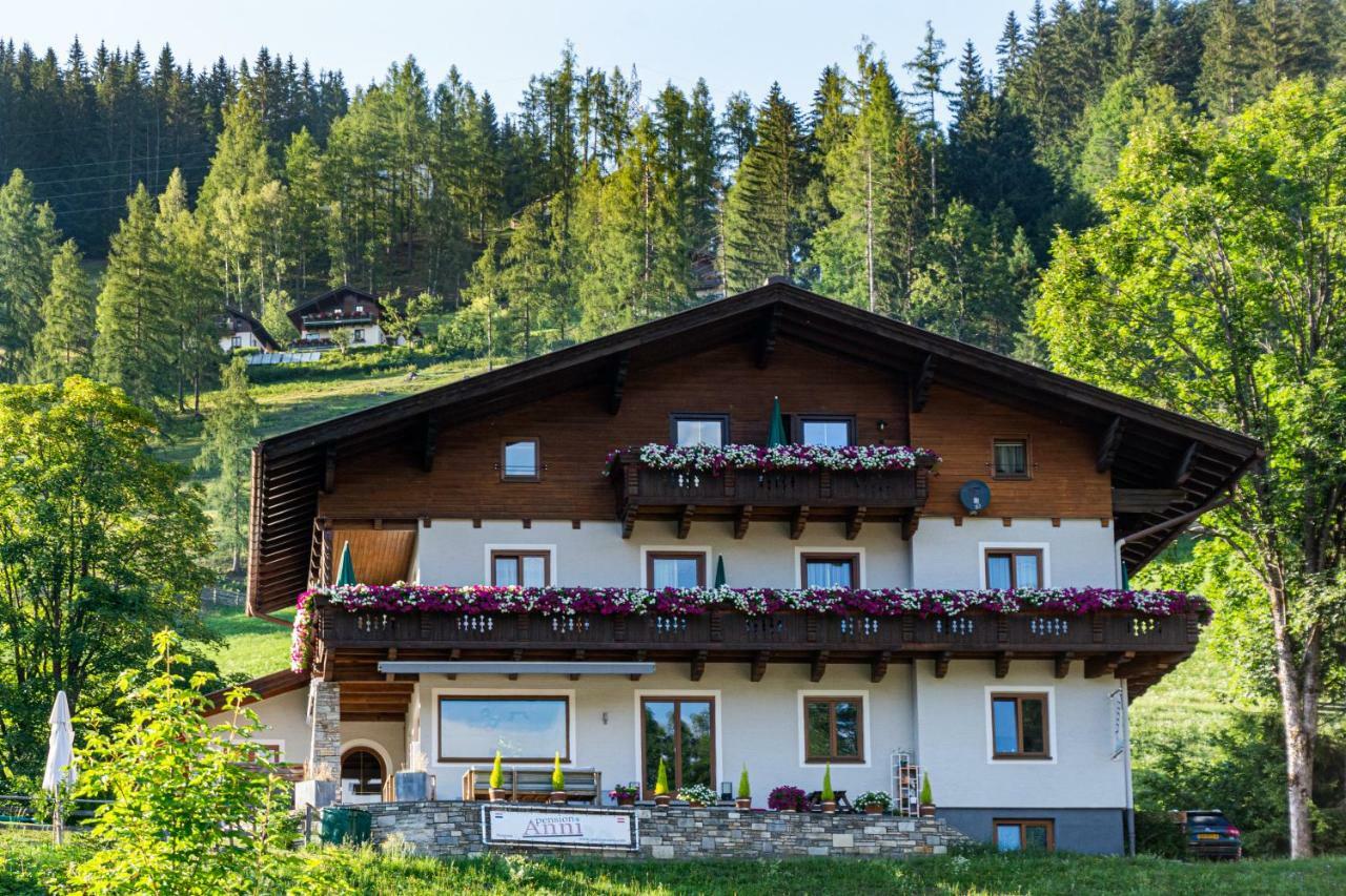 Pension Anni Wagrain Exterior photo